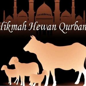 Hikmah Hewan Qurban